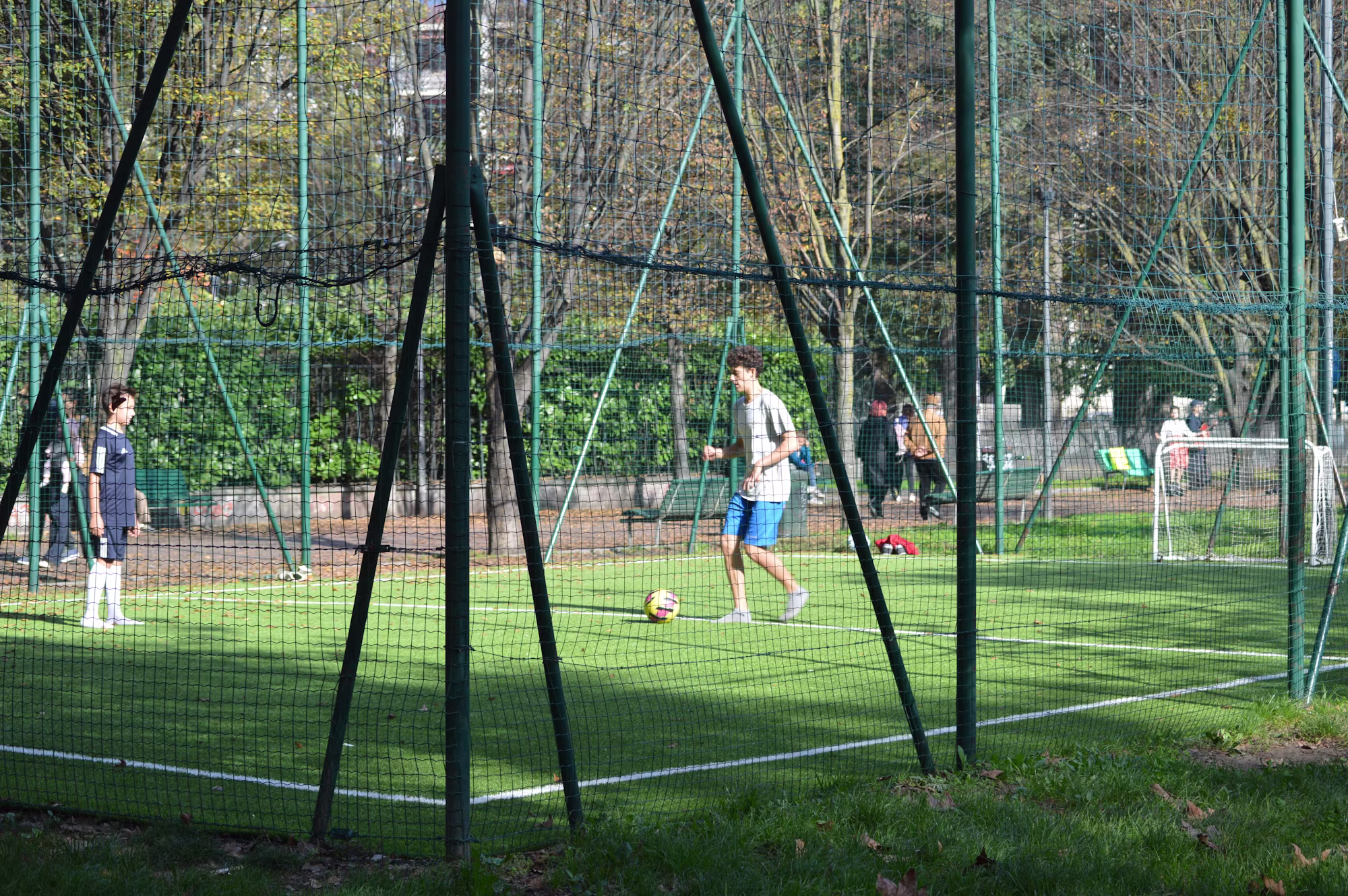Understanding Soccer: The Rules That Shape the Game